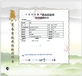 張掖民樂縣 守正創(chuàng)新筑基石，嚴(yán)把質(zhì)量兩道關(guān)